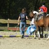 Babie Lato 2015